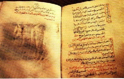 codex 151